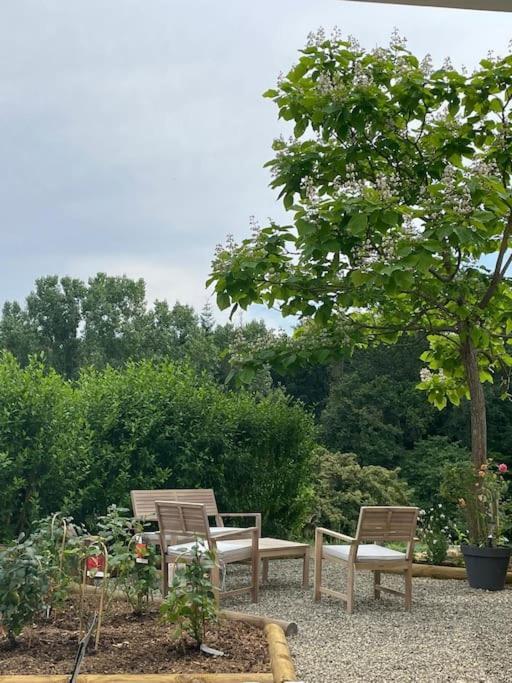Logement Entier De Charme, Gite Equestre Gers Flamarens Esterno foto